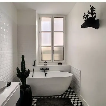 T3 De Charme, 2 Chambres , 2 Salles De Bain Pau