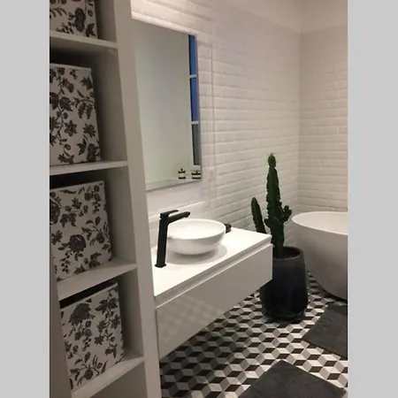 T3 De Charme, 2 Chambres , 2 Salles De Bain Pau